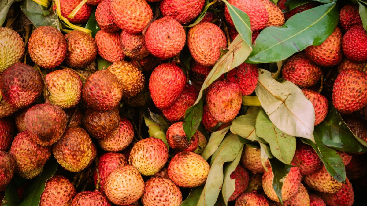 litchi