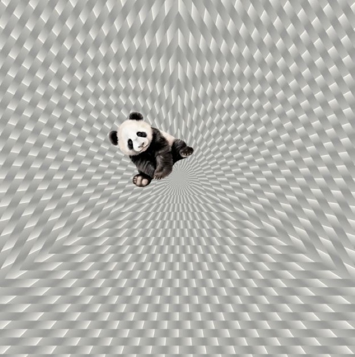 panda-sol