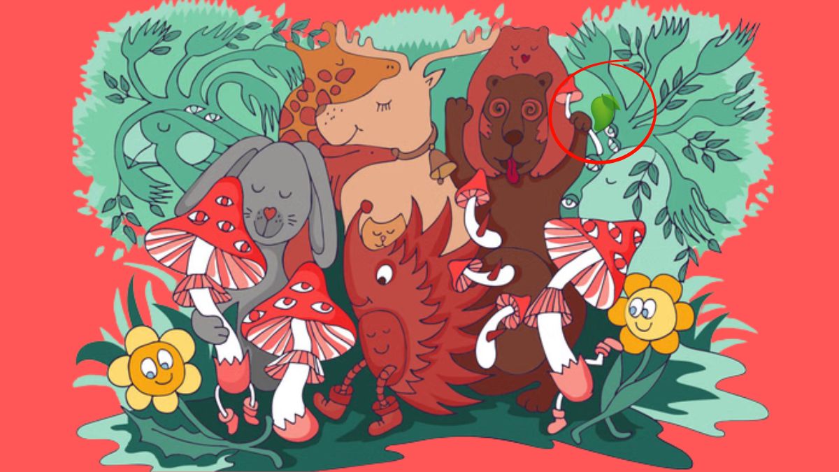 optical-illusion-solution