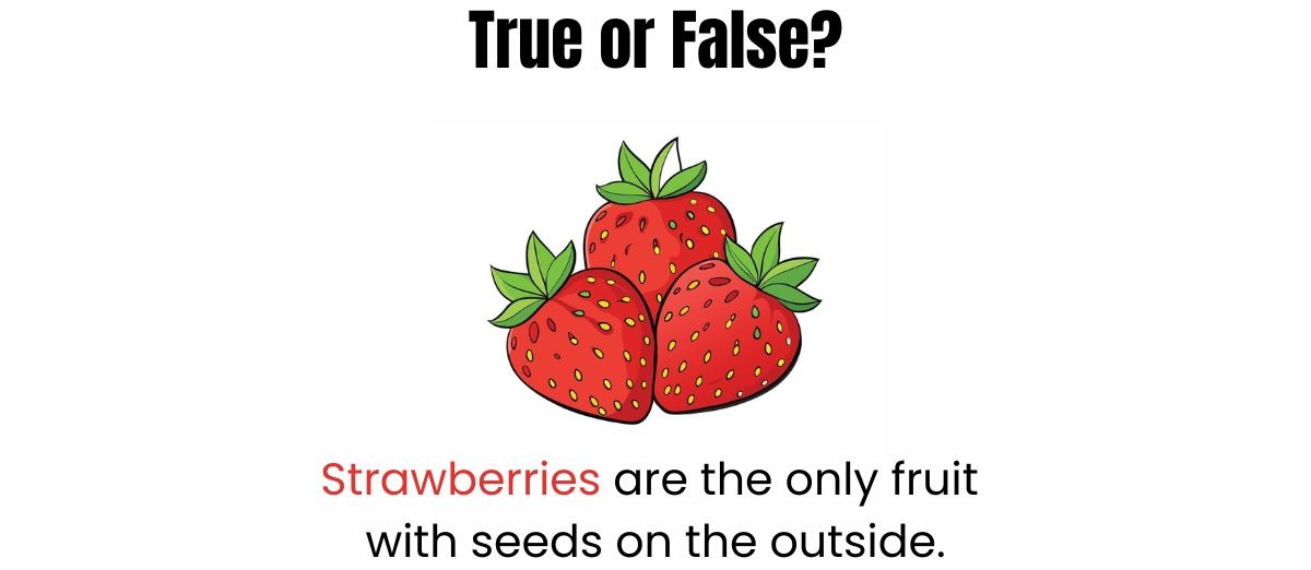 true-or-false-quiz-fruits-and-vegetables-facts