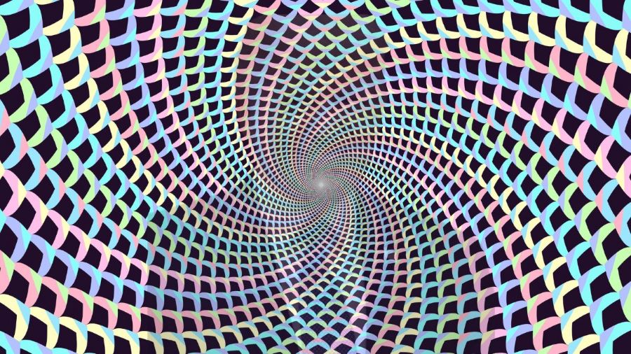 which famous personality is hidden-Donald Trump