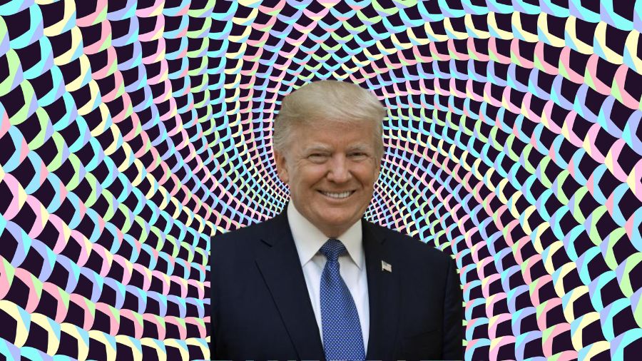 which famous personality is hidden-Donald Trump-solution