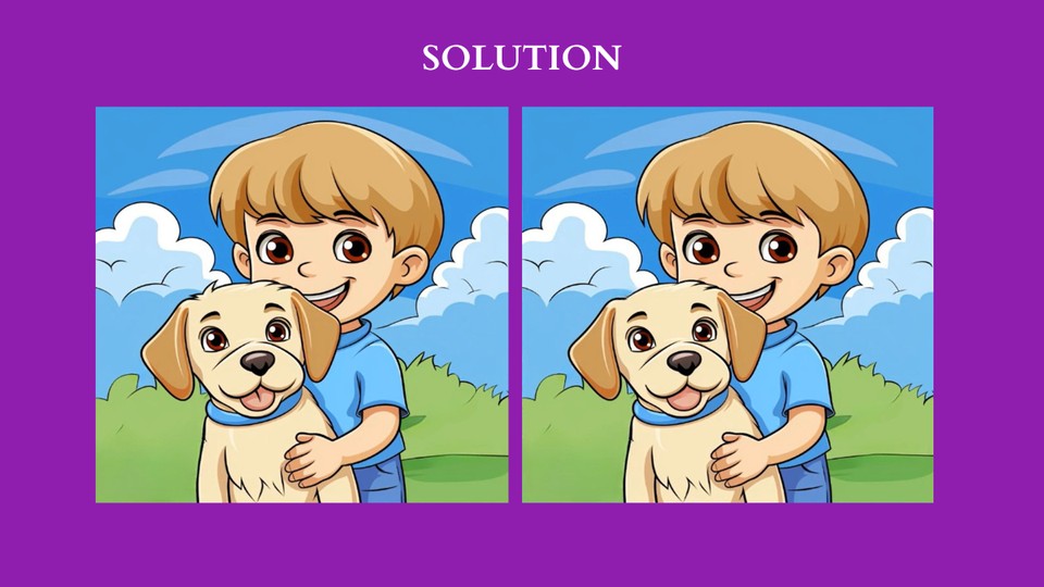 Spot differences between boy and dog solution