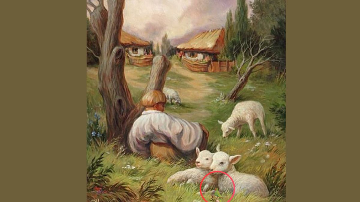 optical-illusion-solution