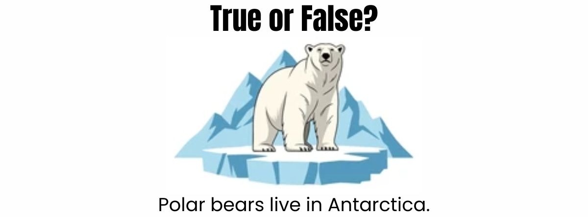 true-or-false-quiz-polar-region