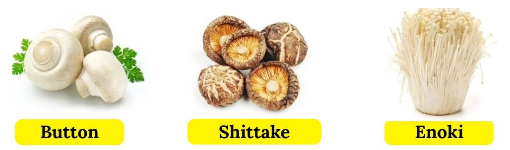 types-of-mushrooms-name-that-thing-puzzle-answer