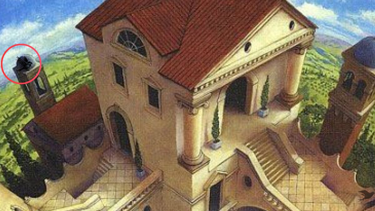 optical-illusion-solution