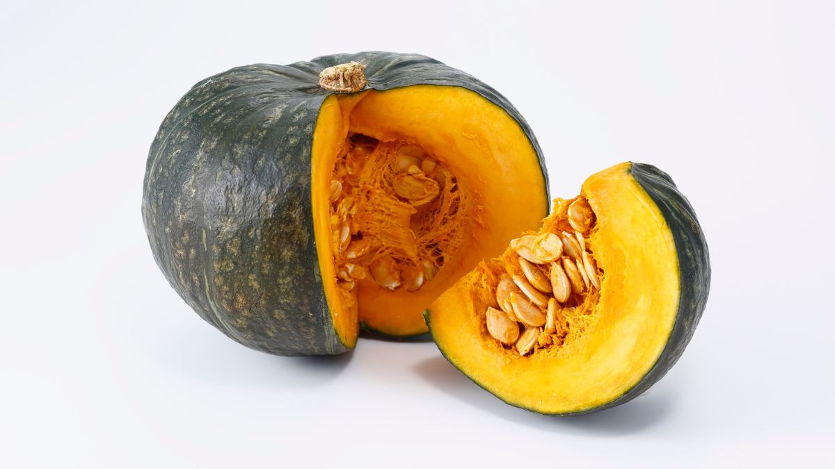 largest pumpkin producer