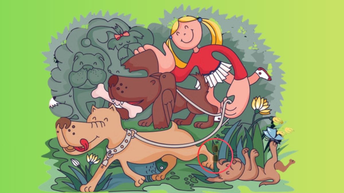 optical-illusion-solution