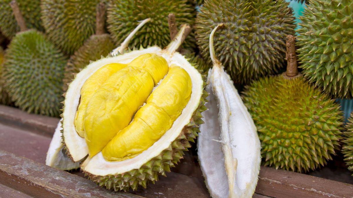 national fruit of malaysia