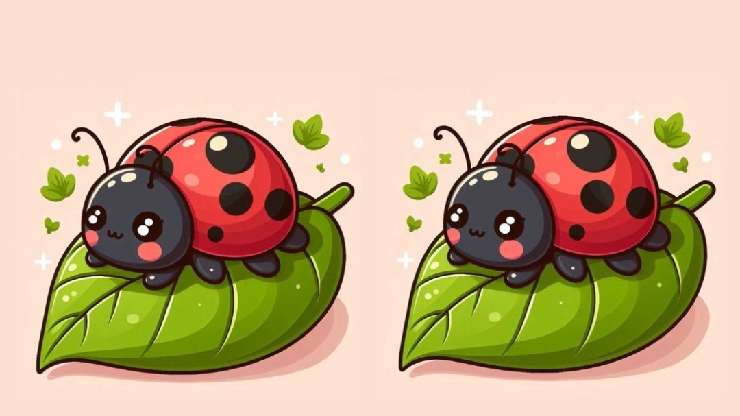 Spot the differences between ladybug picture