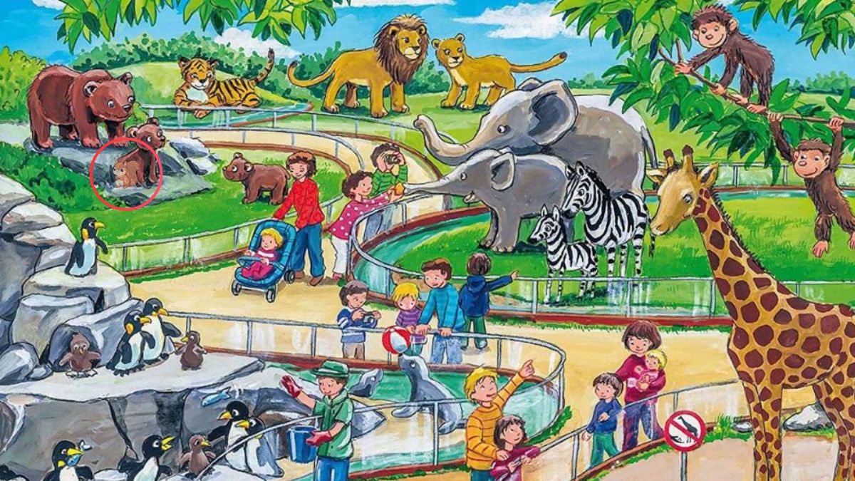 optical-illusion-solution