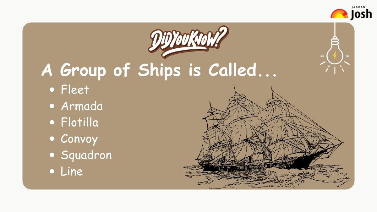 A group of Ships is called