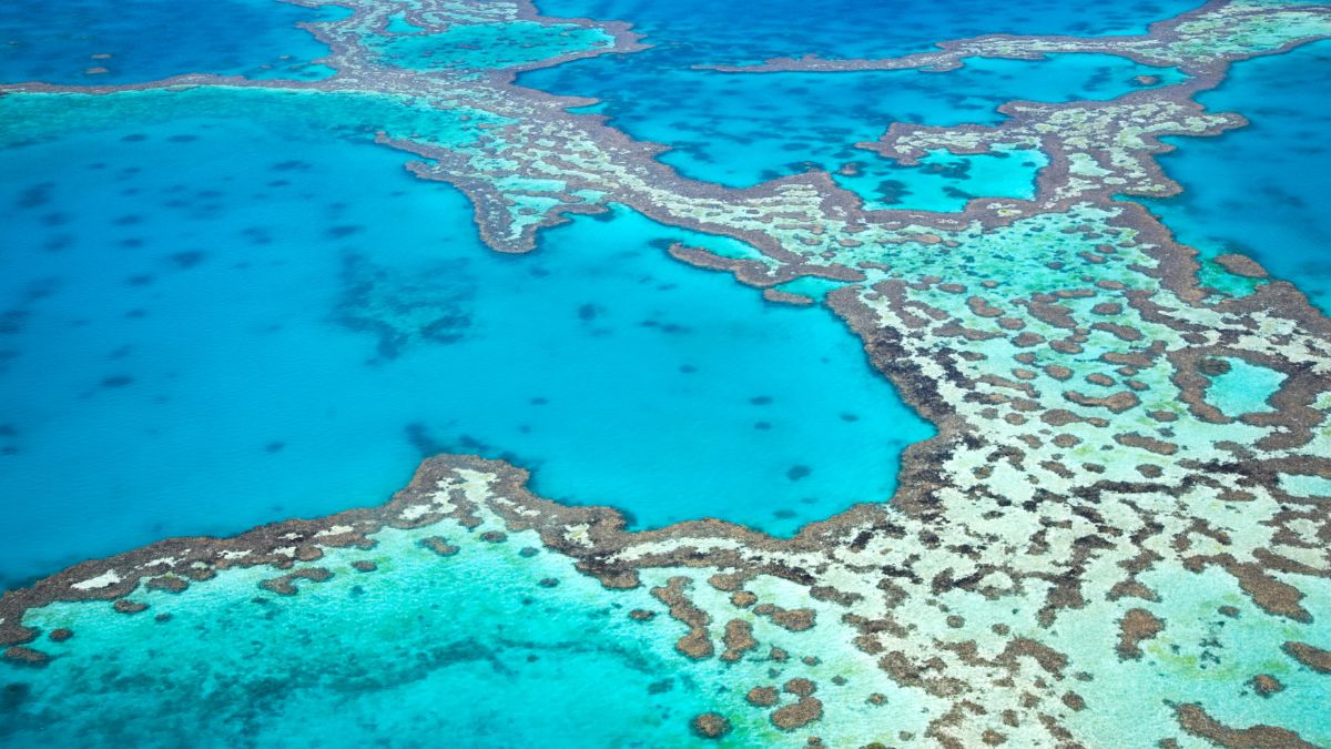 grear barrier reef