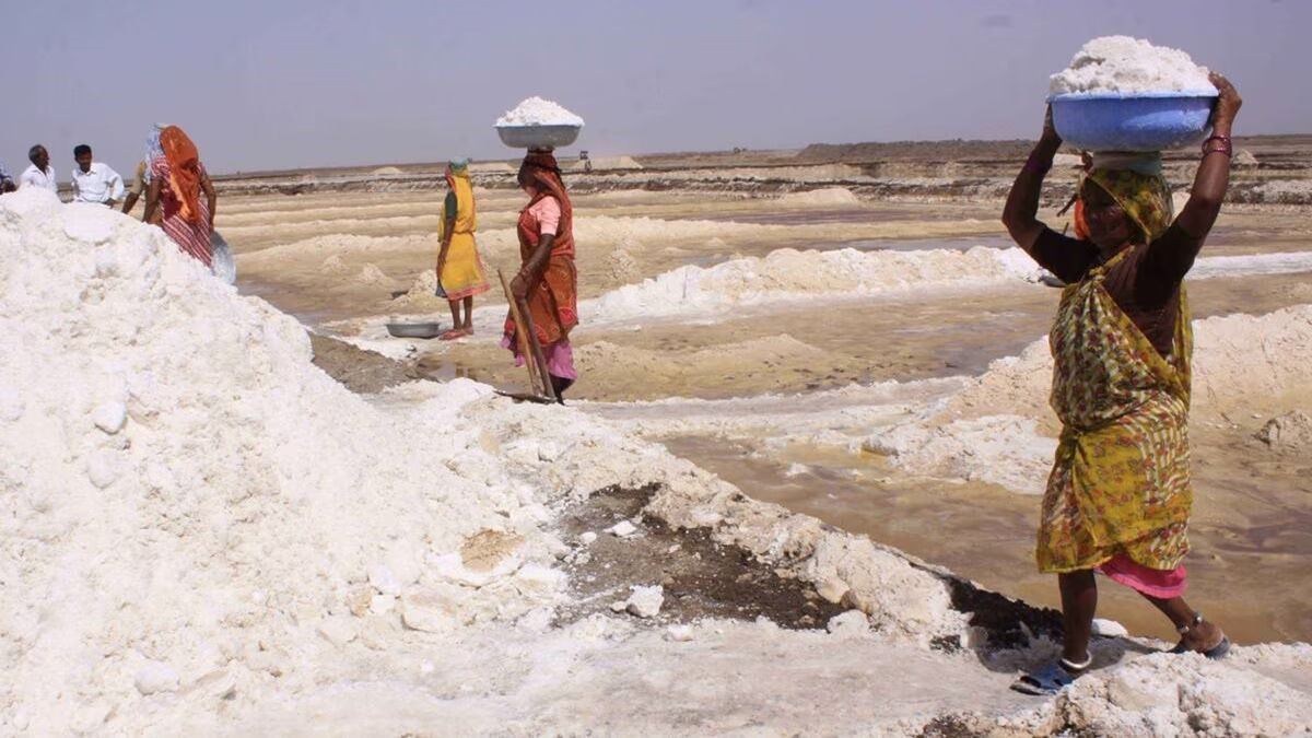 india-salt-farming
