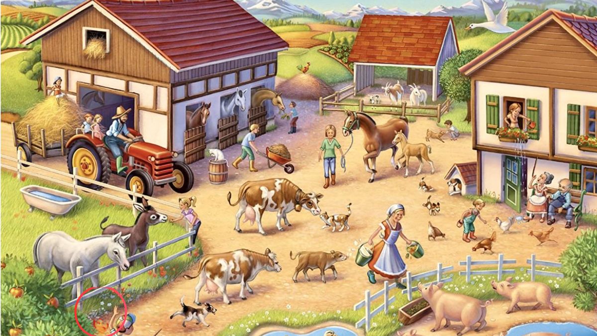 optical-illusion-solution