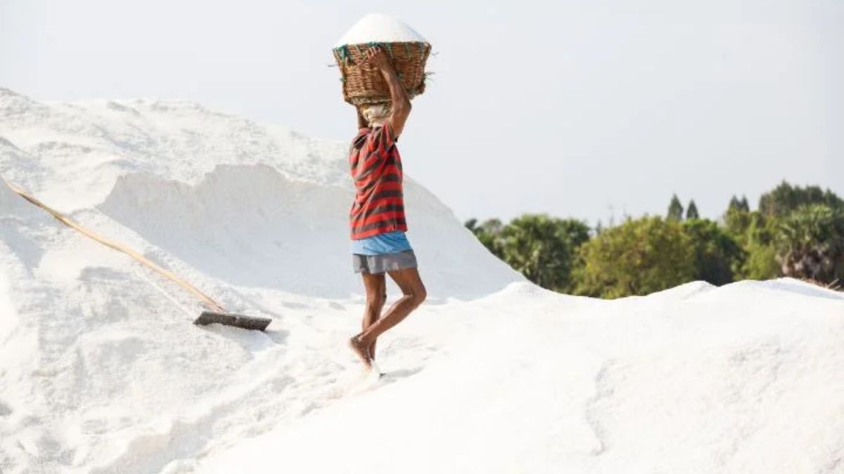 where-does-india-get-its-salt-from