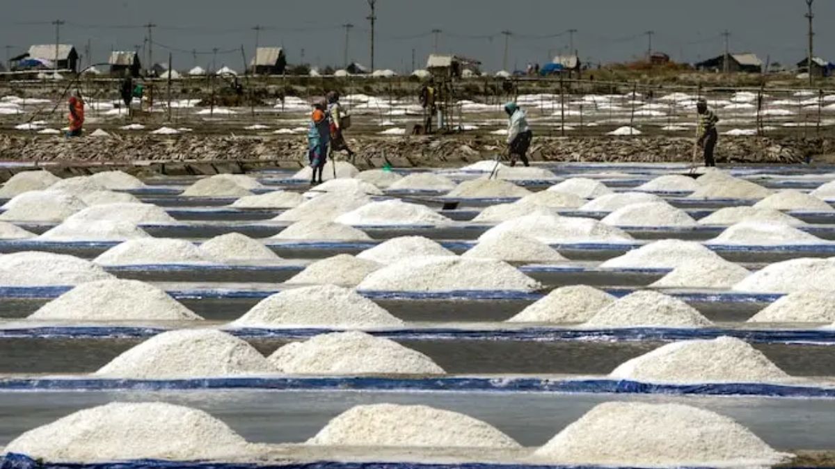 where-does-india-get-salt-from-explained