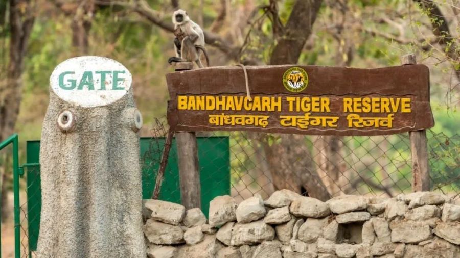 National Parks in Madhya Pradesh-1