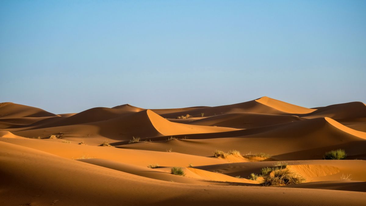 gobi desert