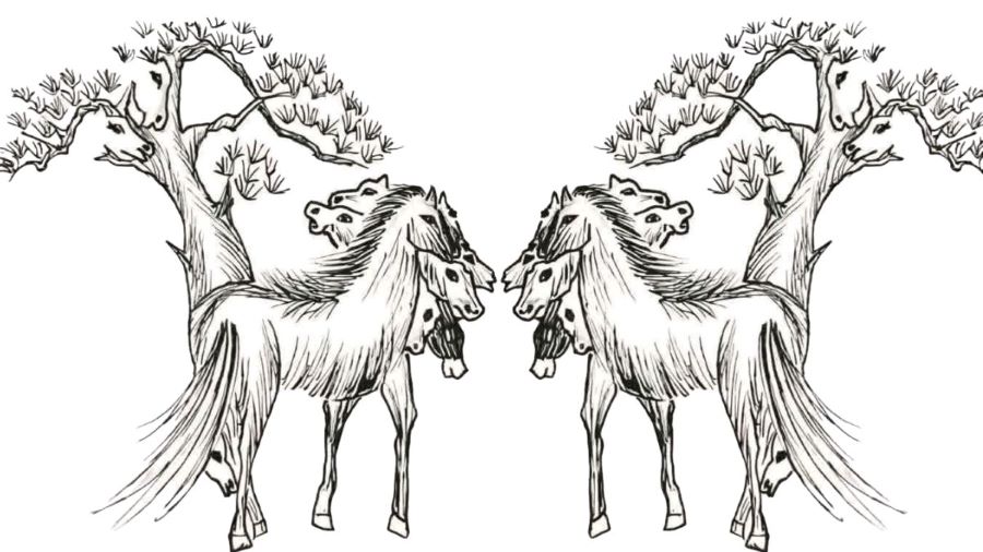 count the number of horses