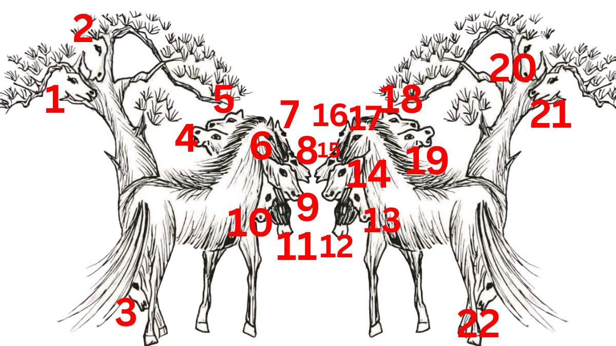 count the number of horses-solution