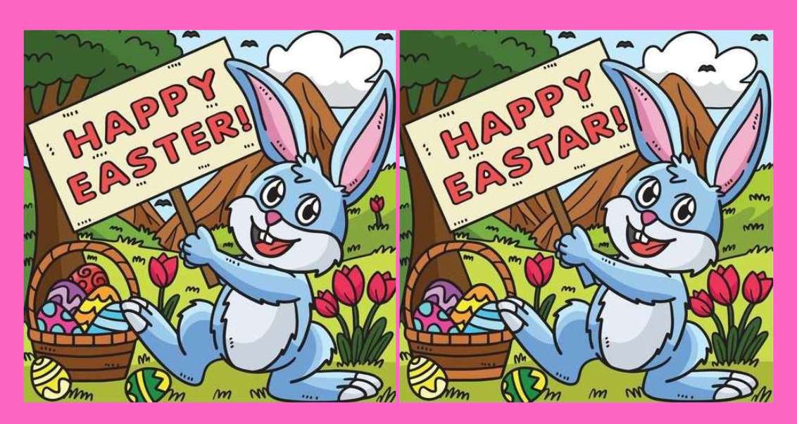 spot differences bunny