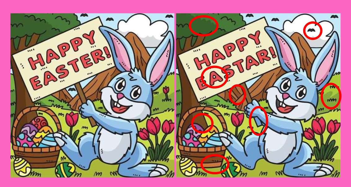 spot differences easter bunny solution