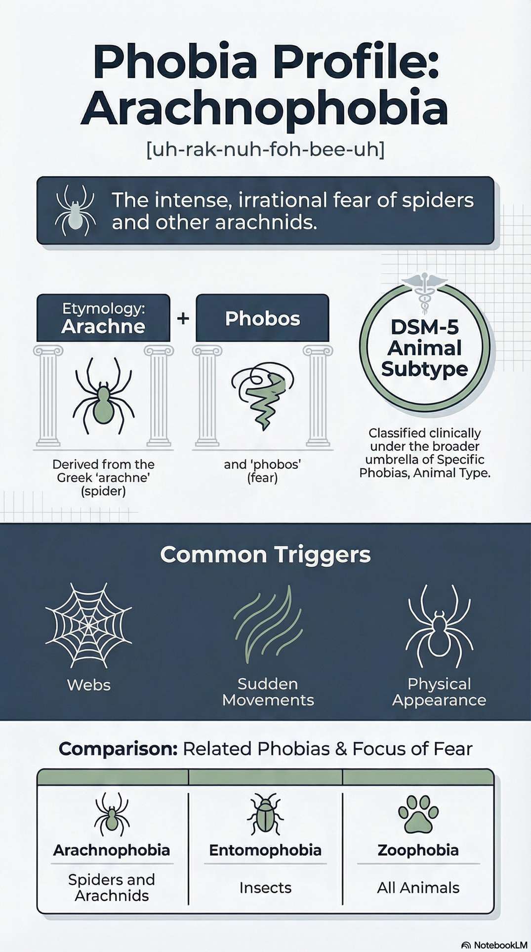 arachnophobia infographic