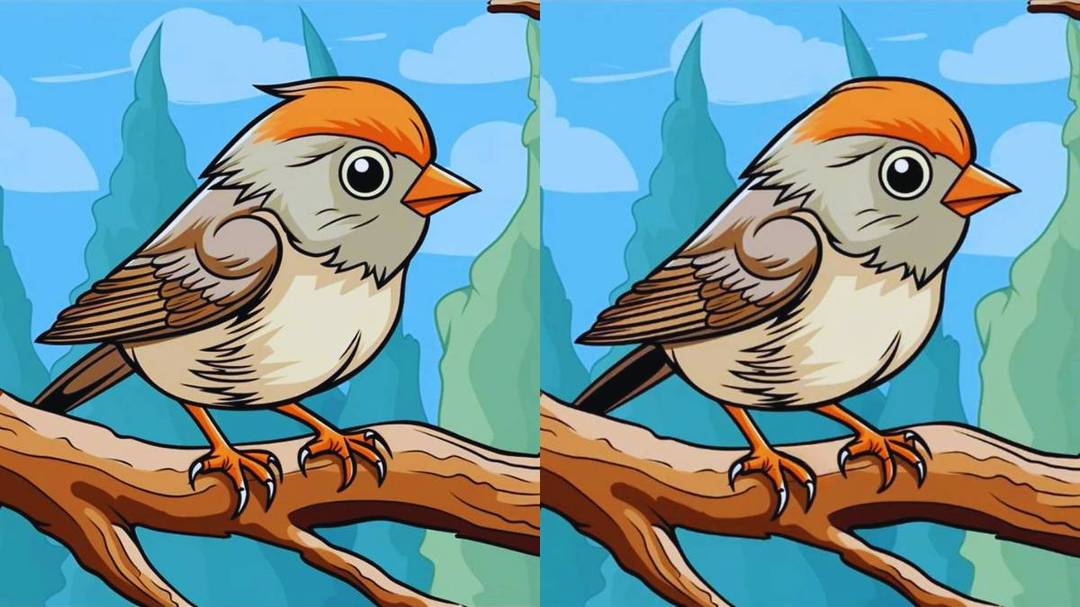 Spot the differnces bird on tree