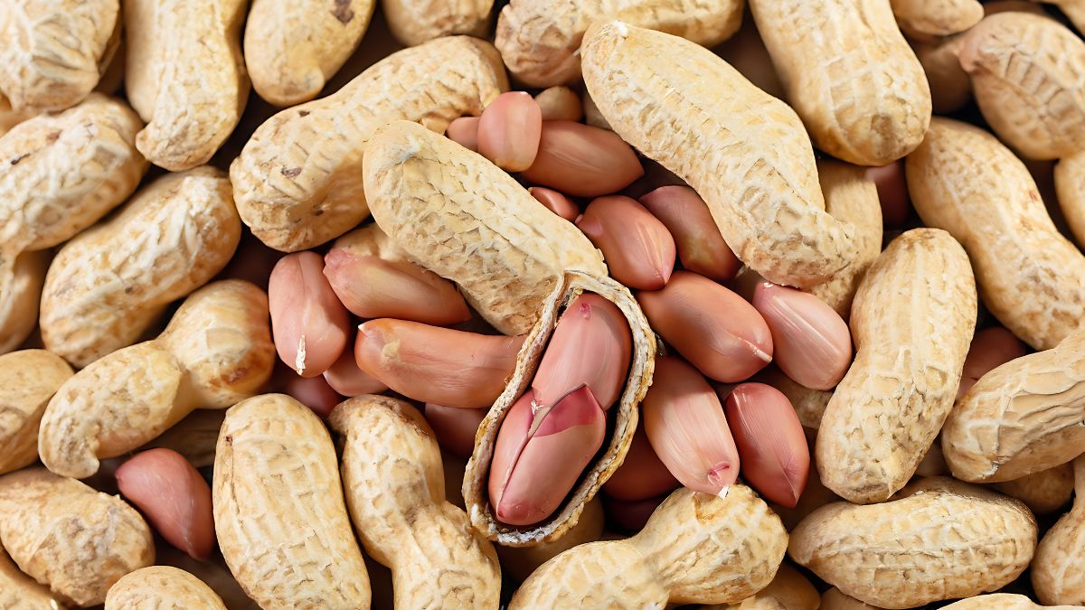 Largest peanut producer