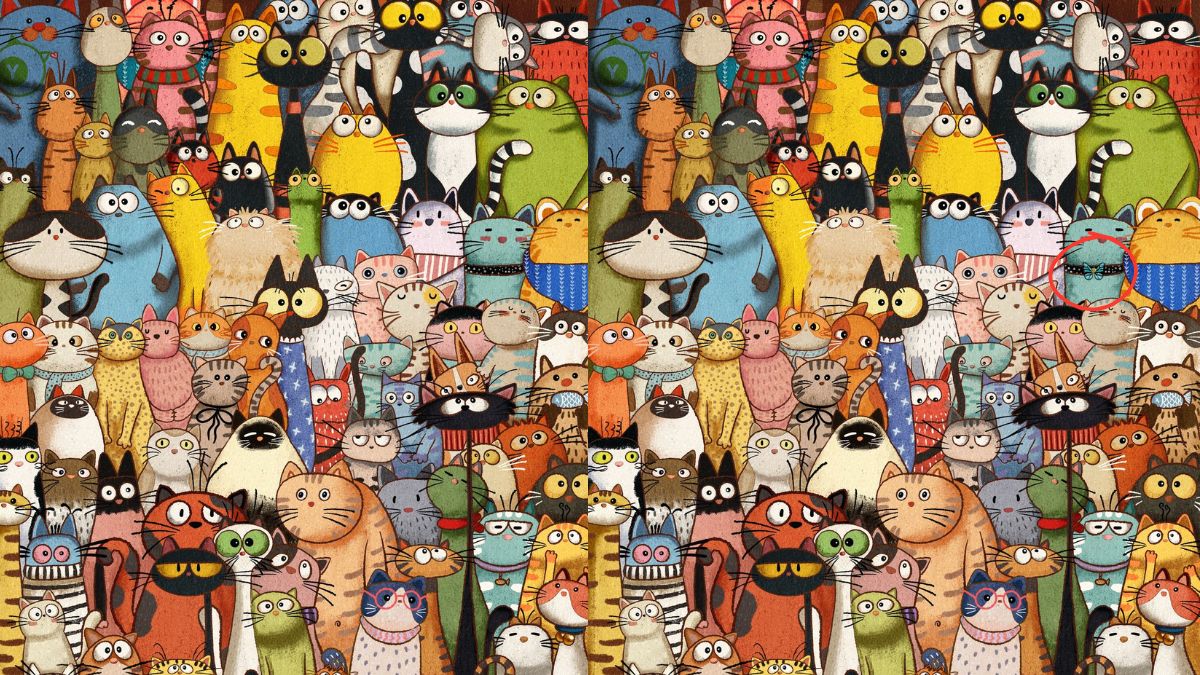 optical-illusion-solution