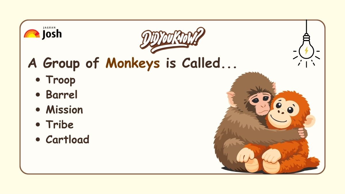 A group of Monkeys is called