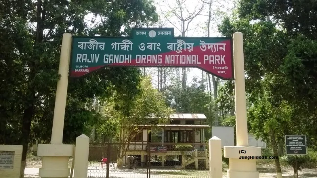 Rajiv Gandhi Orang National Park