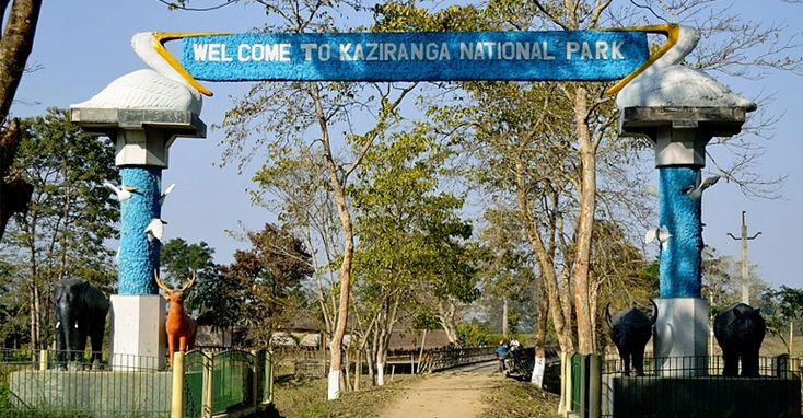 kaziranga national park