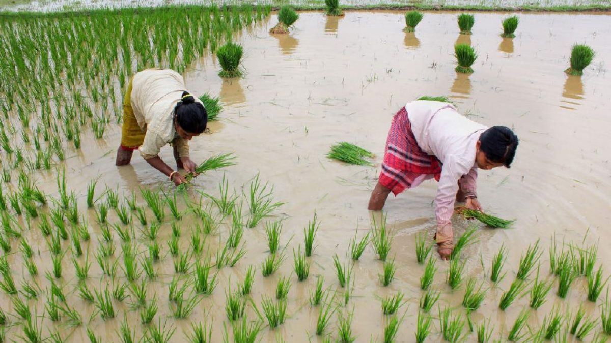 major-kharif-producing-states-in-india