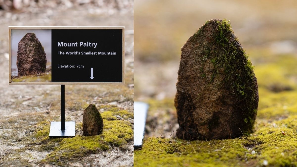 Mount Paltry Smallest Mountain in the World