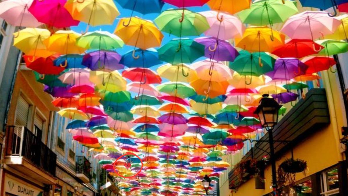 optical-illusion-solution