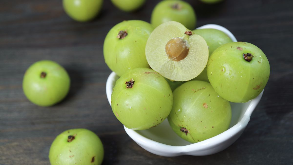 largest producer of amla