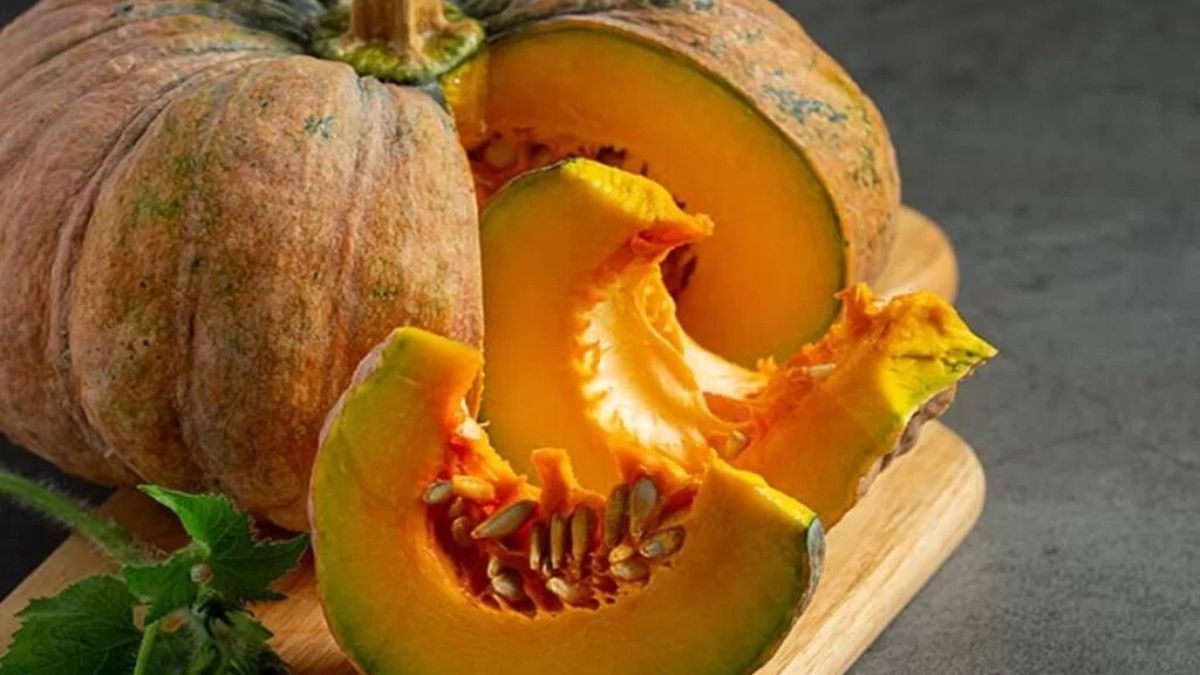 largest kaddu producer in india