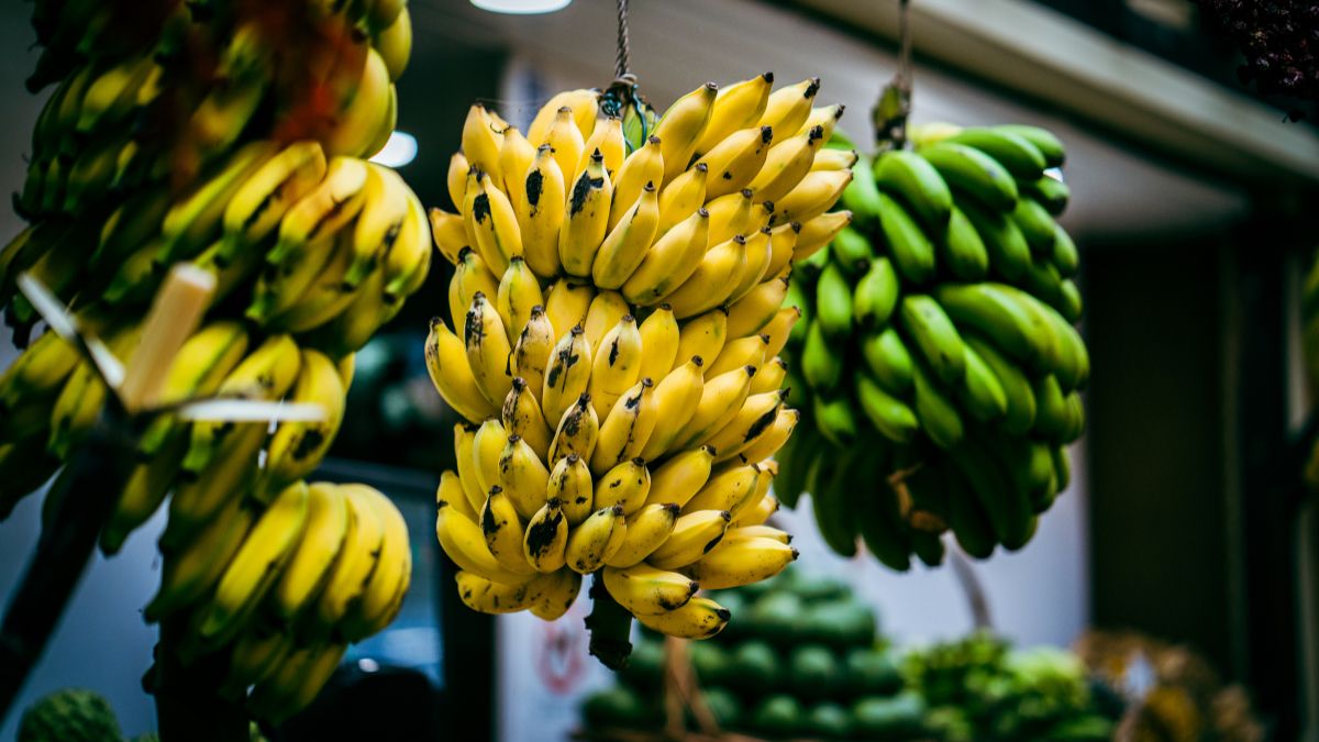 largest banana producer