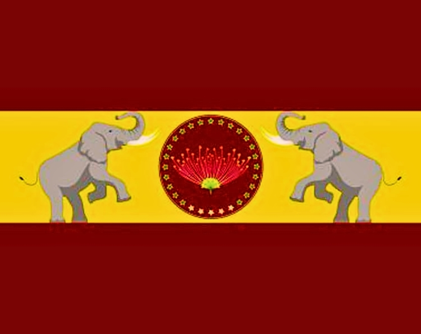 TVK Symbol and Flag