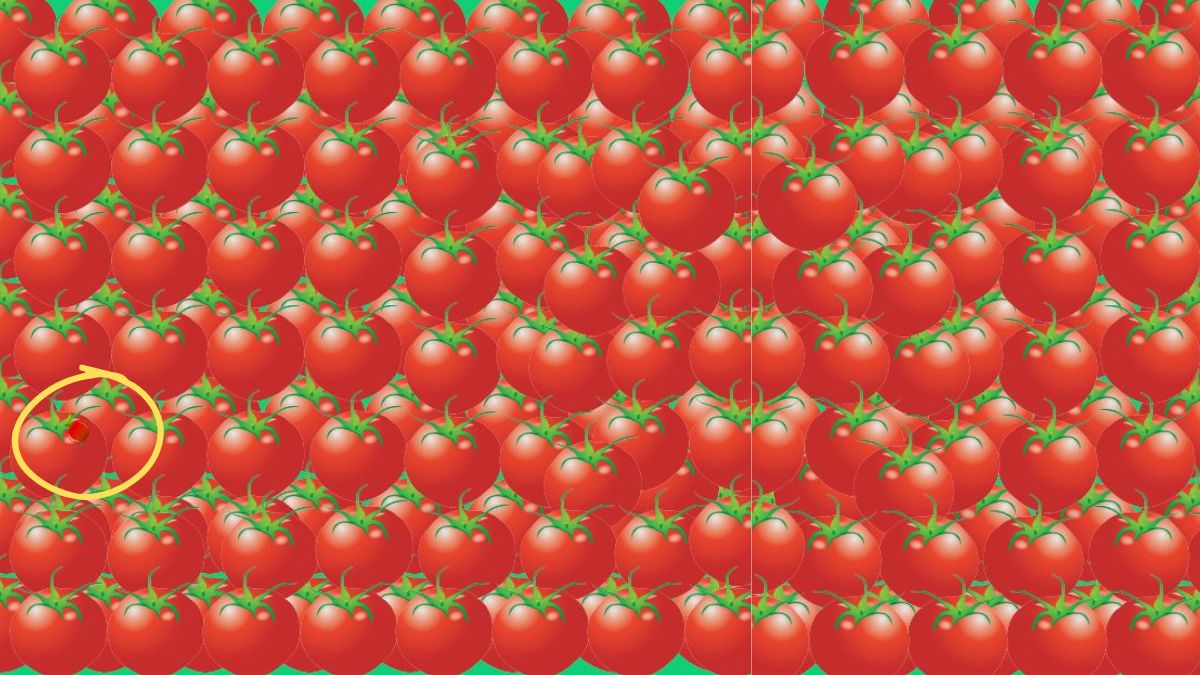 optical-illusion-solution