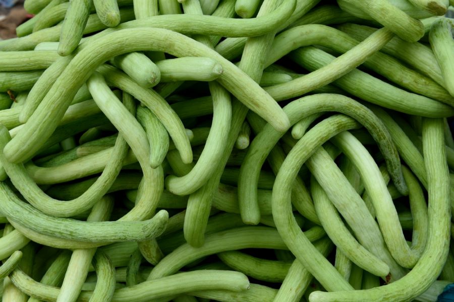 Armenian cucumber