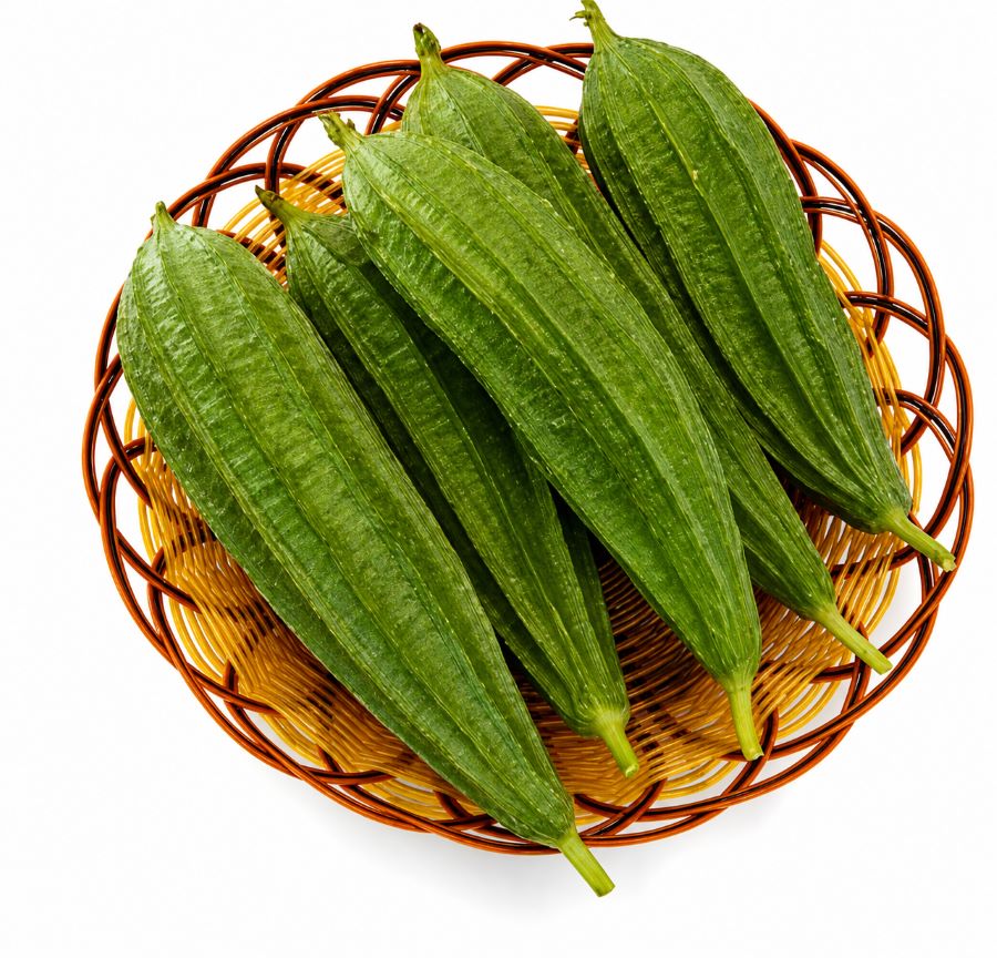 Ridge Gourd