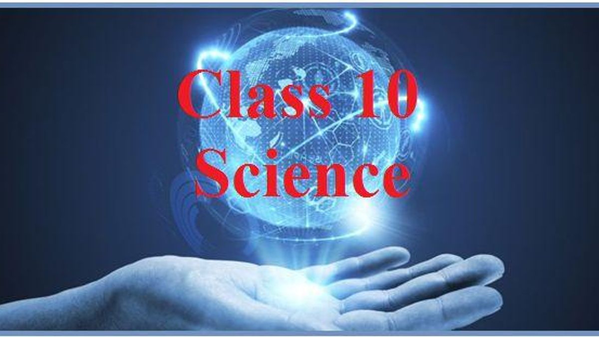 CBSE Class 10 Previous Years' Questions