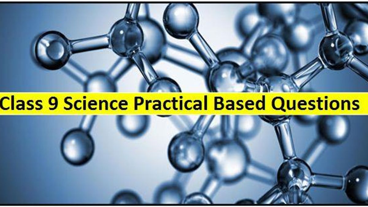 CBSE Class 9 Science Important Practical Based Questions