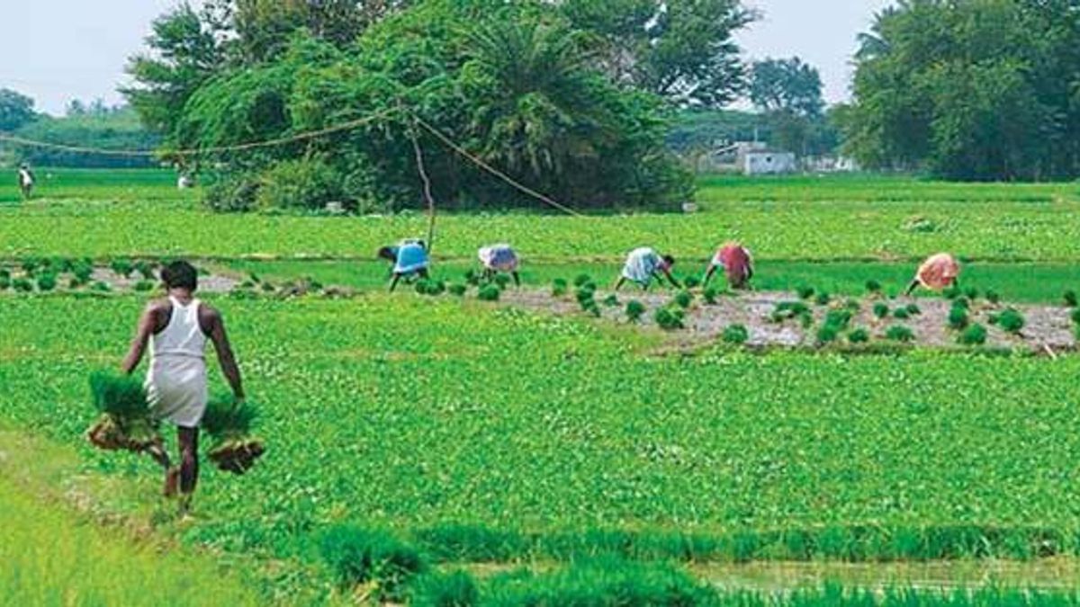 Union Budget 2018-19 Questions: Agriculture and Rural Economy
