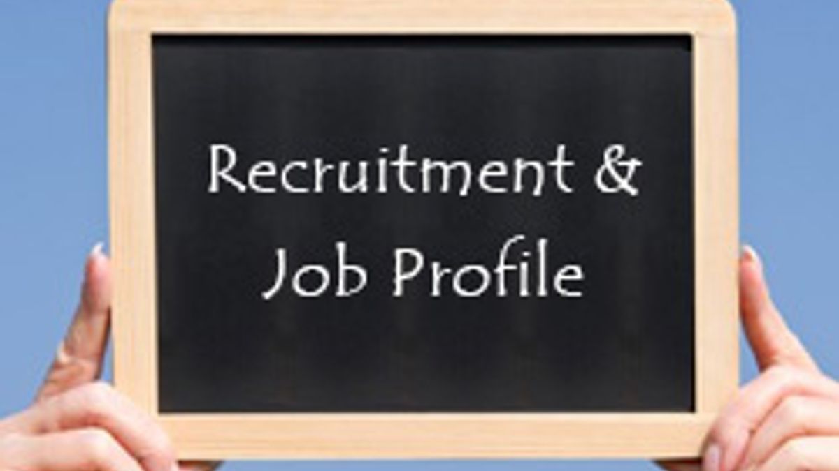 Job Profile of SBI Junior Associates