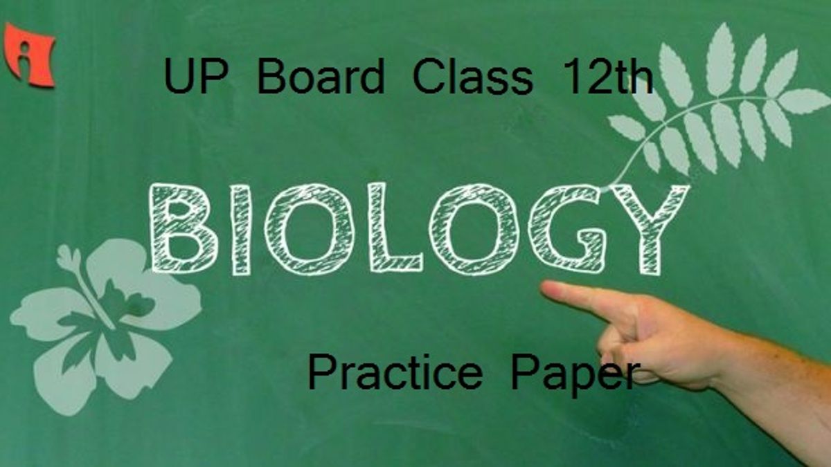 UP Board Class 12 Biology Second Practice Paper